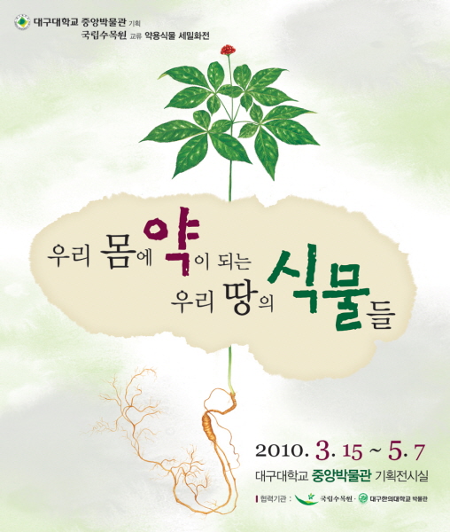 우리 몸에 약이 되는 우리 땅의 식물들